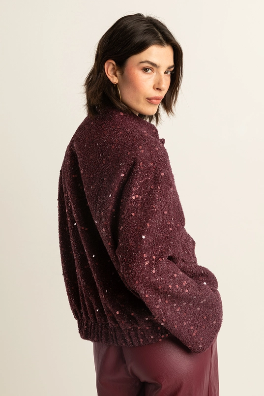 Jasje met pailletten