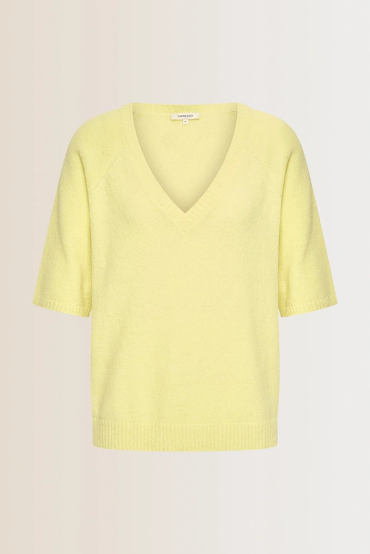 Trui met V-hals