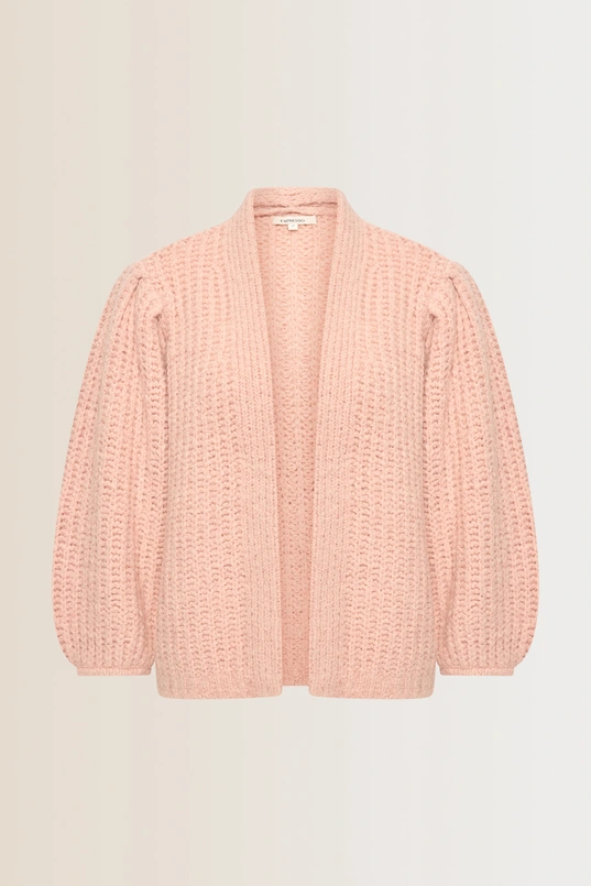 Vest met ballonmouwen